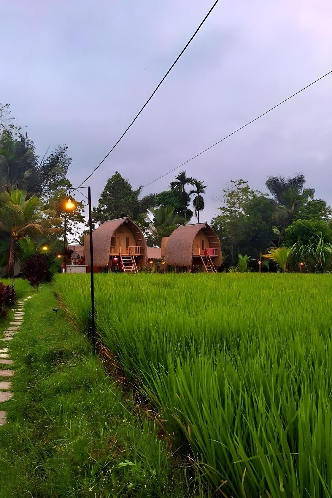 Lumbung Langit Bali House & Hostel Tampaksiring Exterior photo