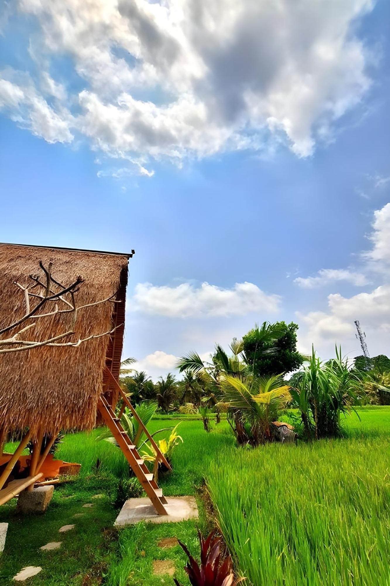 Lumbung Langit Bali House & Hostel Tampaksiring Exterior photo