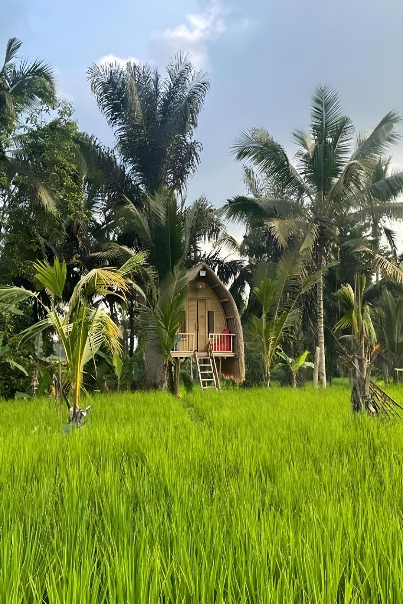 Lumbung Langit Bali House & Hostel Tampaksiring Exterior photo