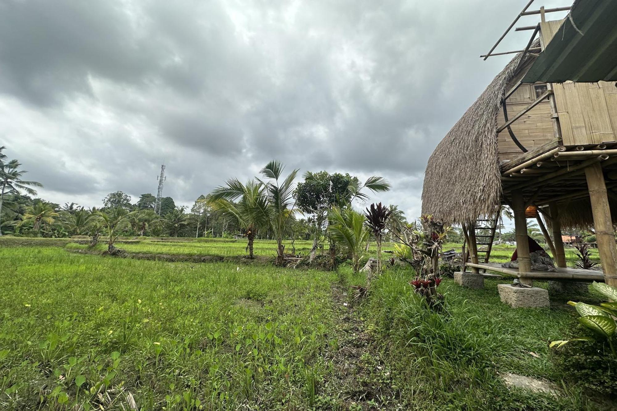 Lumbung Langit Bali House & Hostel Tampaksiring Exterior photo